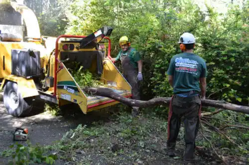 tree services Florence